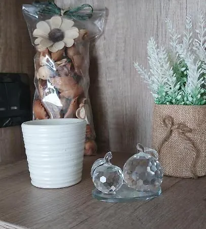 Mountain Angel Apartament Kopaonik