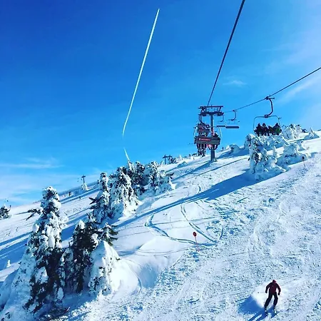 Mountain Angel