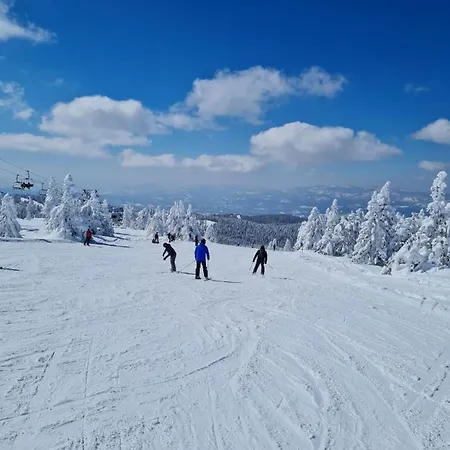 Apartament Mountain Angel Kopaonik