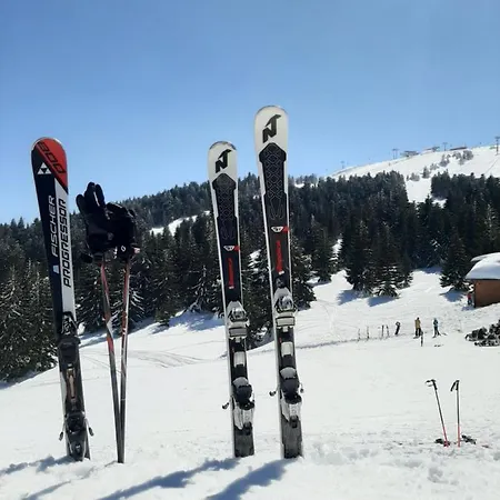 Mountain Angel Apartament Kopaonik