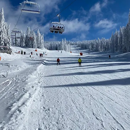 Mountain Angel