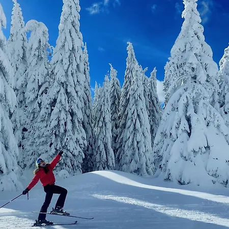 Mountain Angel Kopaonik