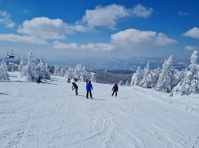 Апартаменты Mountain Angel Копаоник