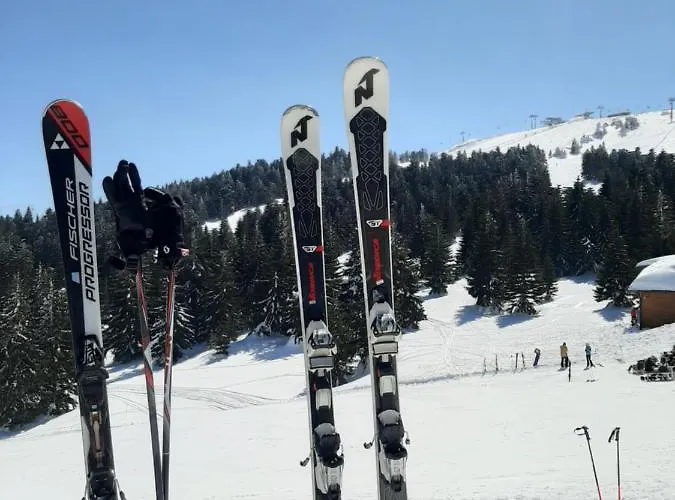 Mountain Angel Апартаменты Копаоник