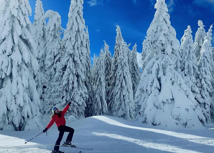 Mountain Angel Копаоник