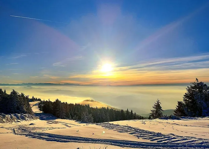 Апартаменты Mountain Angel *